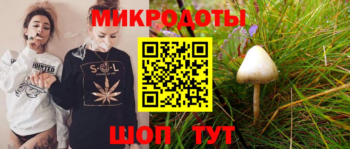 Кириши  Галлюциногенные грибы прущие грибы  Вход с VPN 